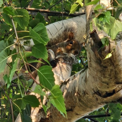 Purple team Magda post image