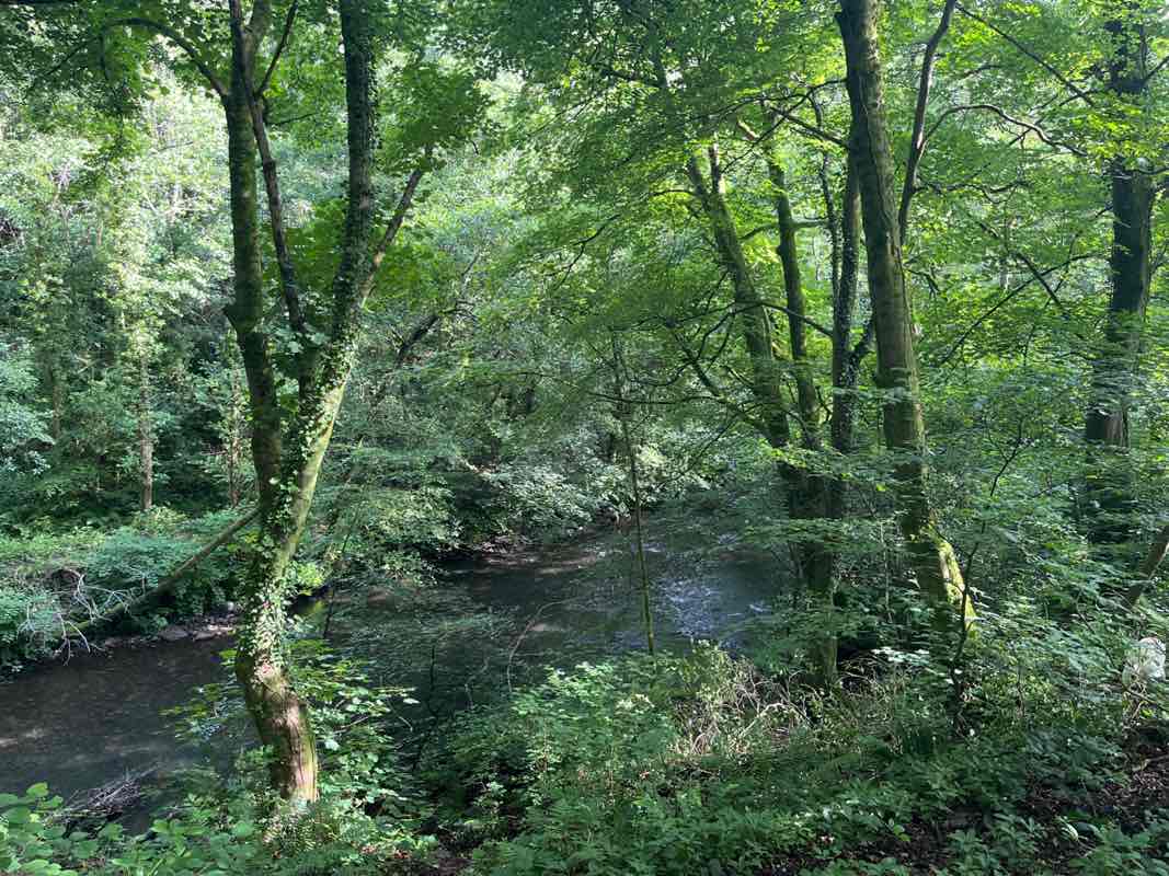 walking near me in Sirhowy Valley Country Park in summer