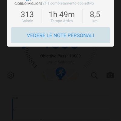 AMICI Italia anna post image