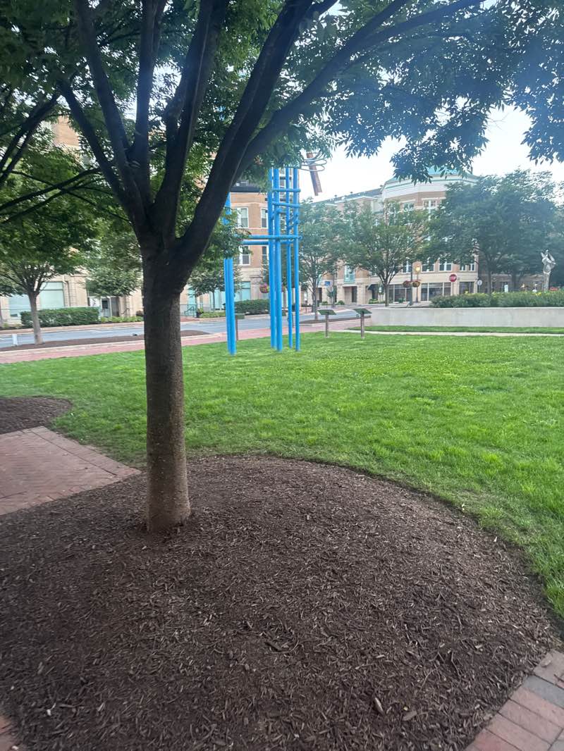 walking near me in Reston Town Square Park in summer