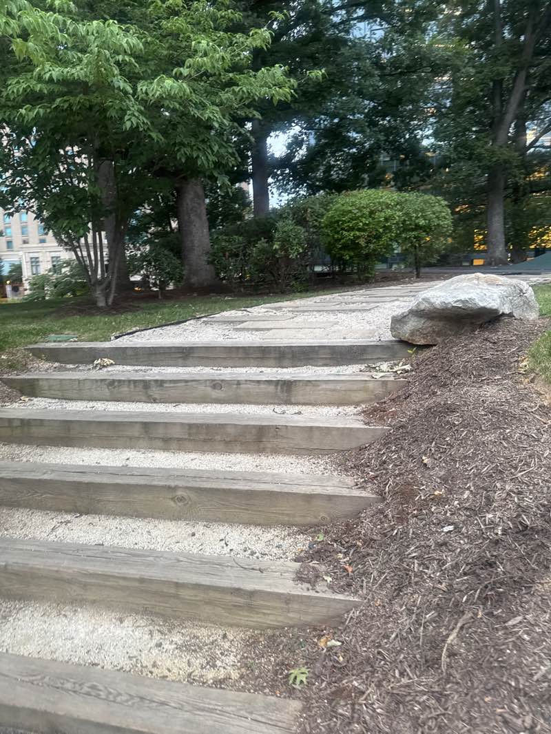 walking near me in Presidents Park in summer