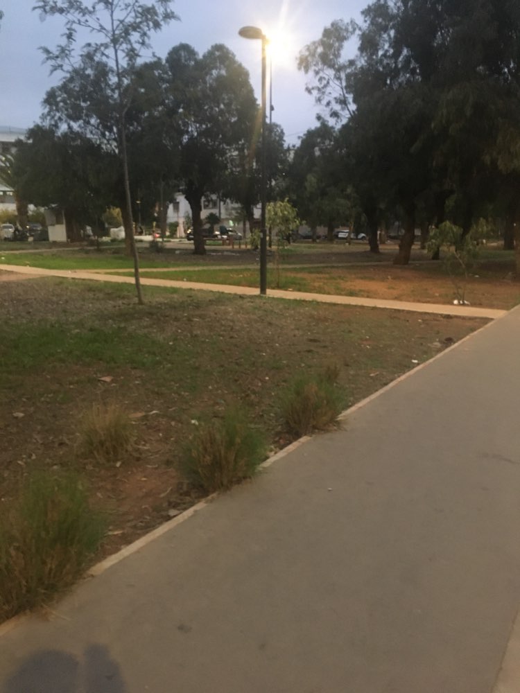 walking near me in Parc Cité Plateaux in winter