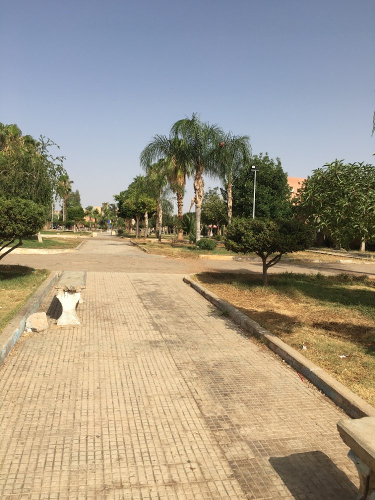 walking near me in Jardin 20 août in summer