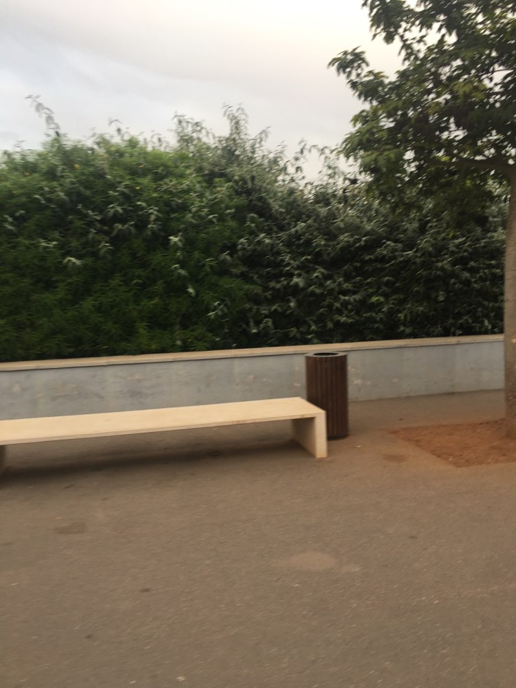 walking near me in Anfa Park in summer