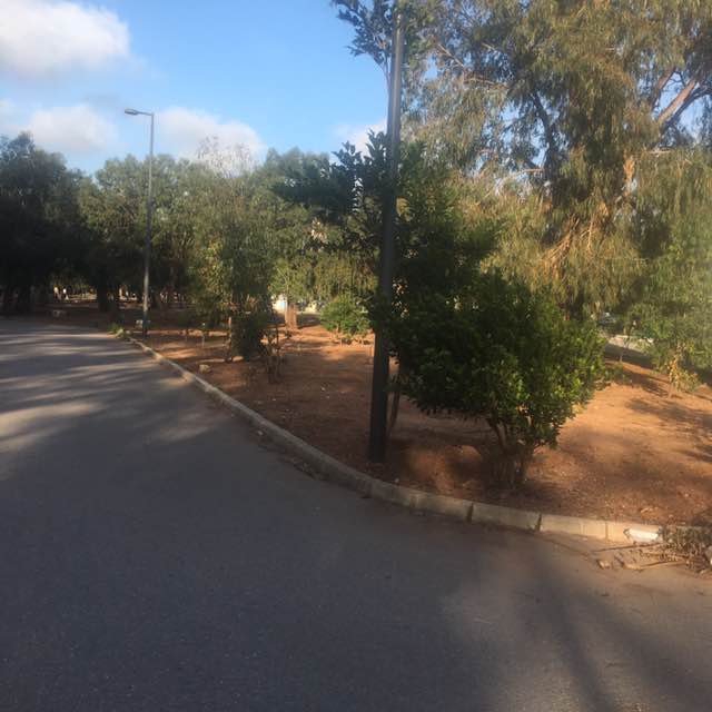 El Bidaoui Younes post 1