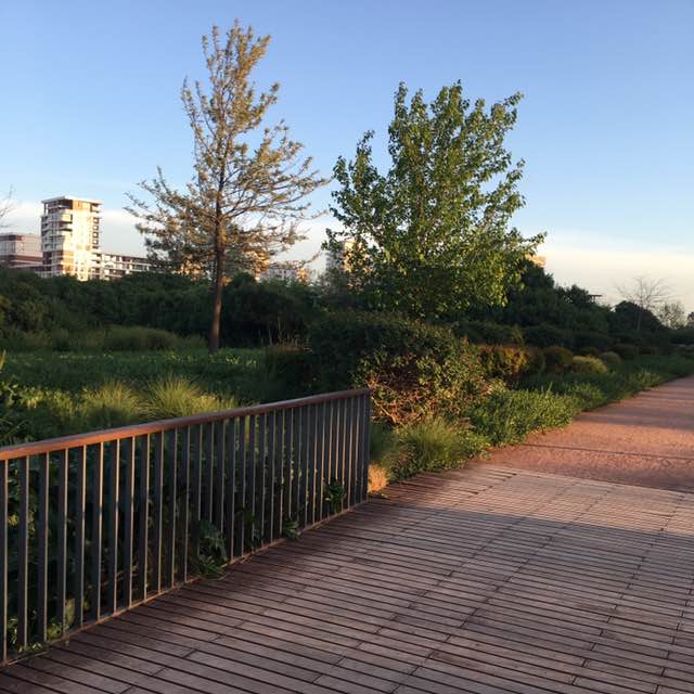 El Bidaoui Younes post 1