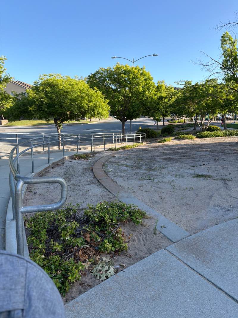 walking near me in Del Rey Park in summer