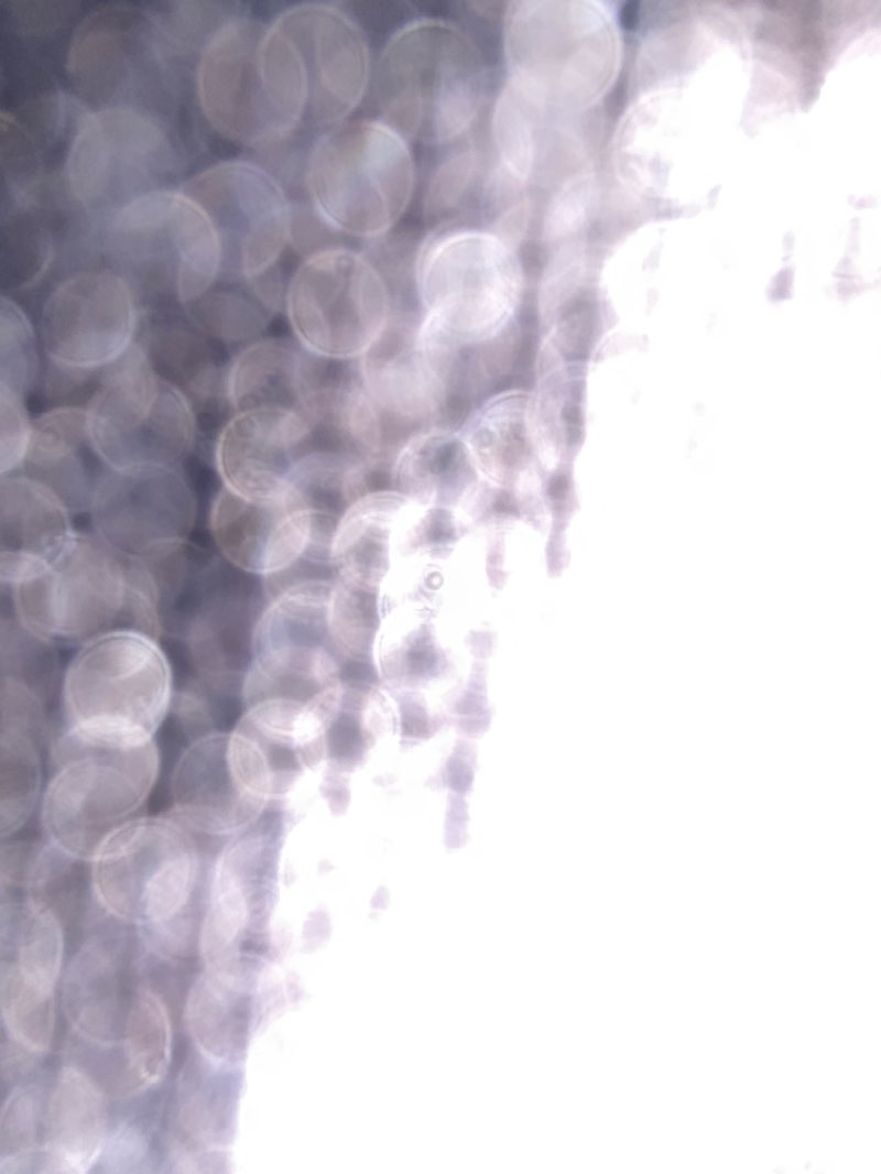 walking near me in Esplanade Park in winter