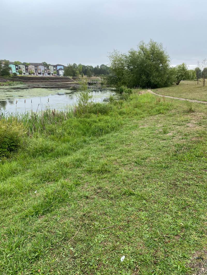 walking near me in Ashland Lakes in autumn