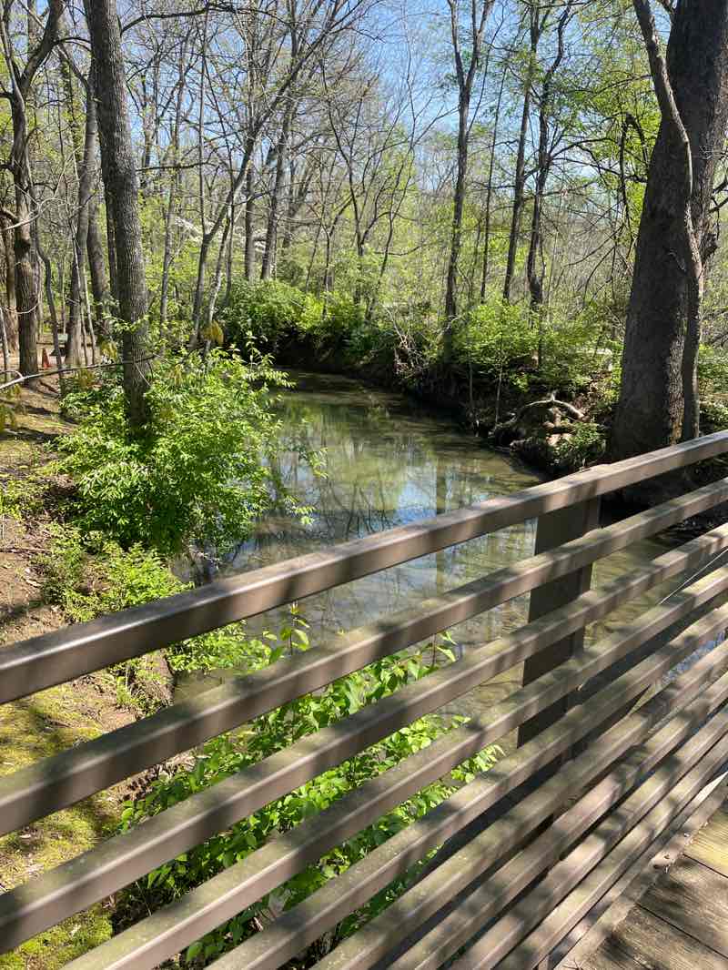 walking near me in Aspen Grove Park in spring