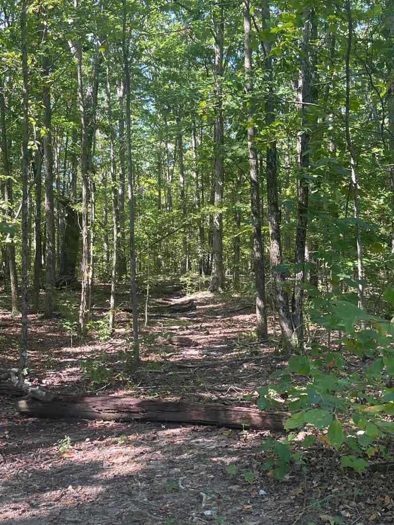 walking near me in Stillhouse Hollow Falls in autumn