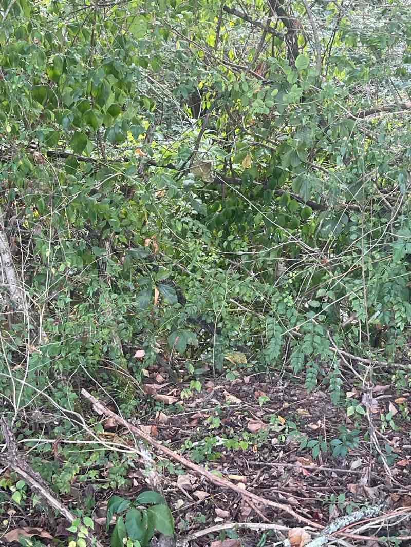 walking near me in UAW Fitness Park in autumn