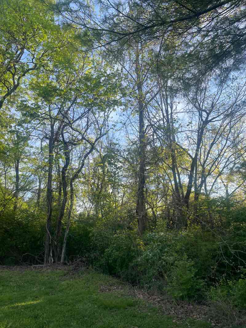 walking near me in UAW Fitness Park in spring