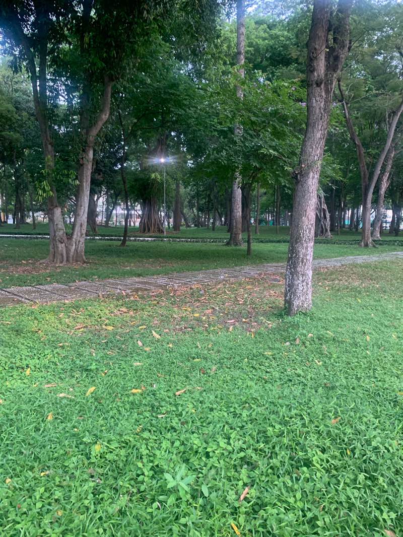 walking near me in Dinh Độc Lập in spring