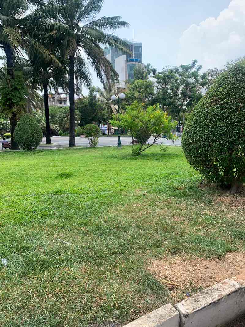 walking near me in 23/9 Park in spring