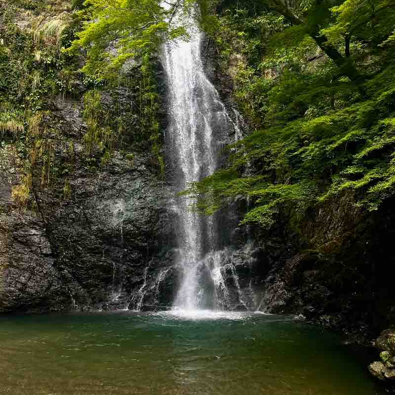 SMCJ 2024 H Genki Yajima post image