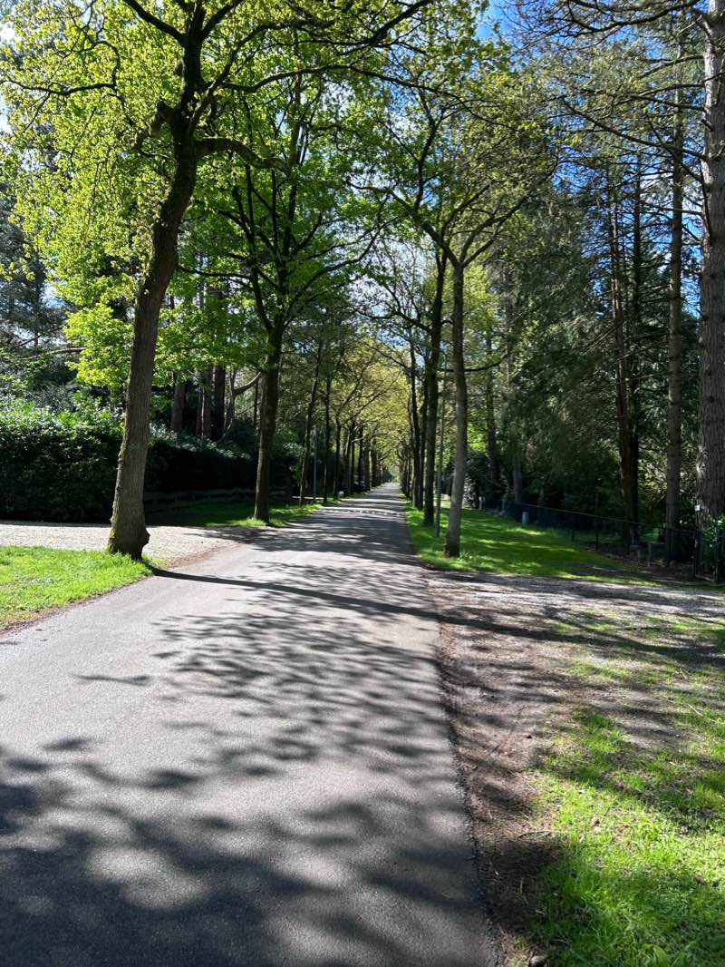 walking near me in Willem Bilderdijkpark in winter