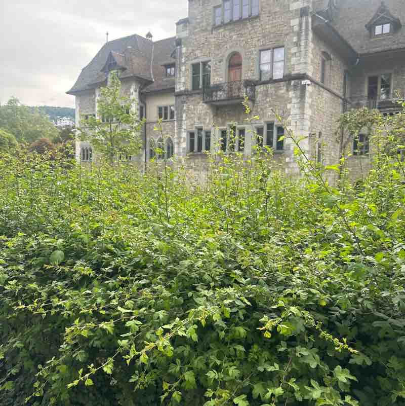 Svetla post 1