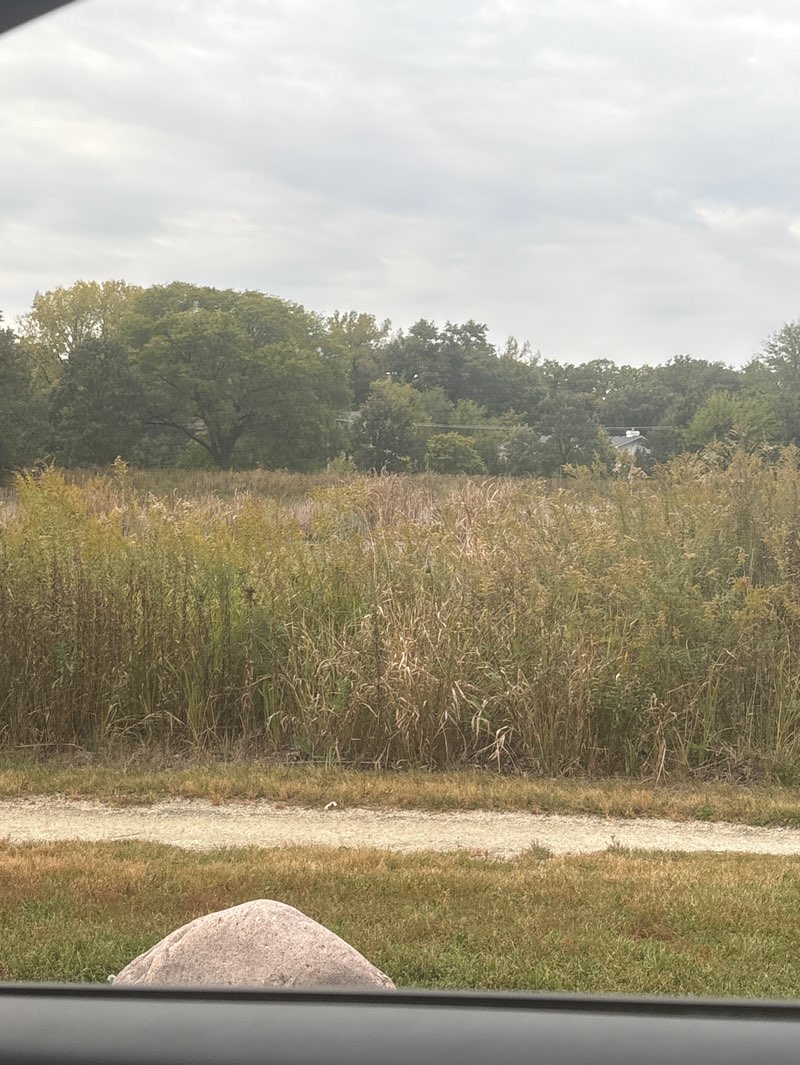 walking near me in Orchard Brook Park in autumn