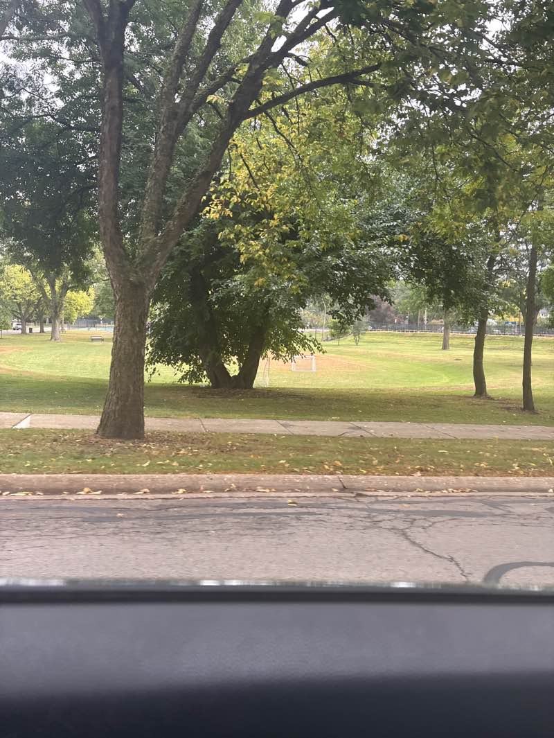 walking near me in Stough Park in autumn