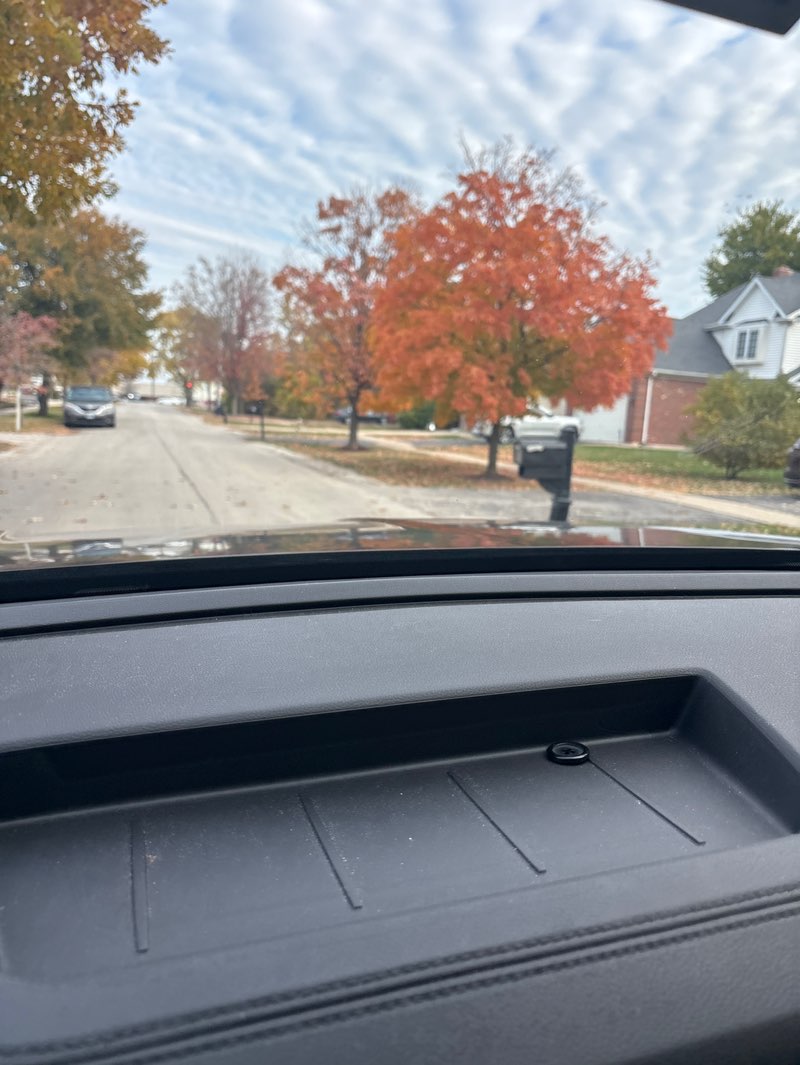walking near me in Fritz Werley Park in autumn