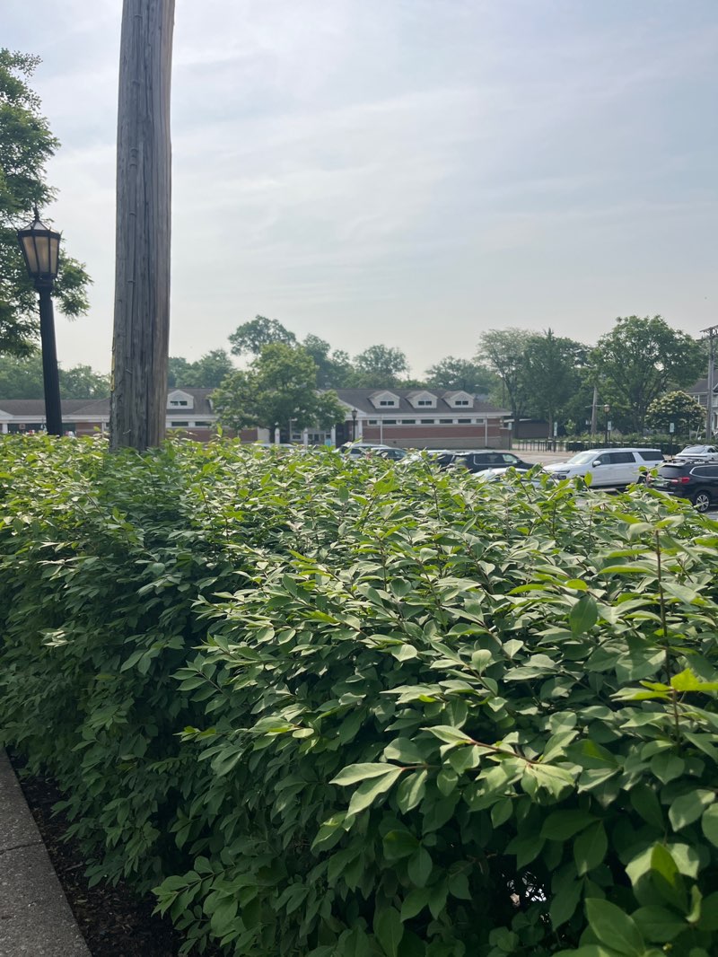 walking near me in Hinsdale Community Swimming Pool in summer