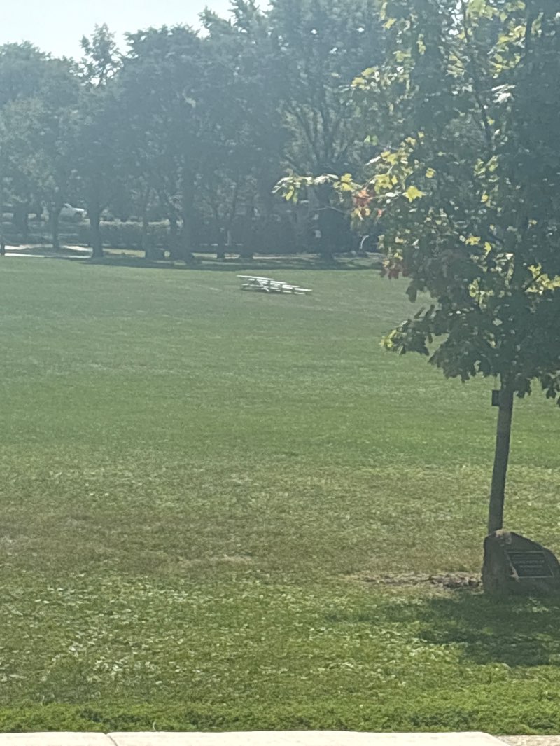walking near me in Robbins Park in autumn