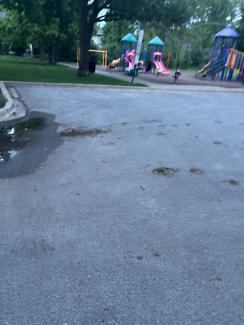 walking near me in Melin Park in summer