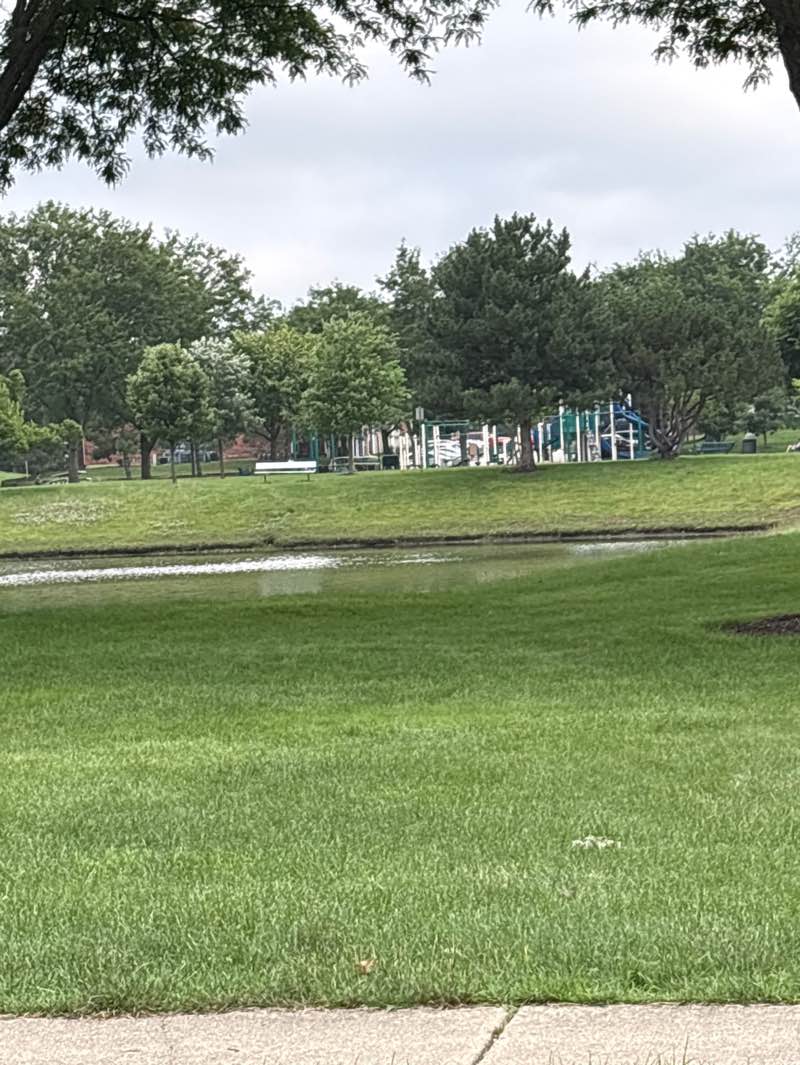 walking near me in Prairie Trail Park in summer