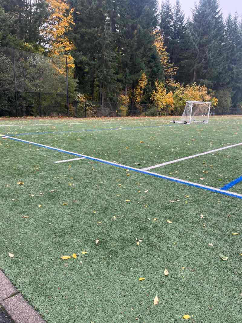 walking near me in Jeanne Hansen Park in autumn