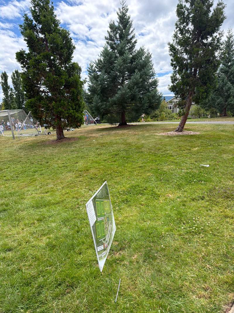 walking near me in Jeanne Hansen Park in summer