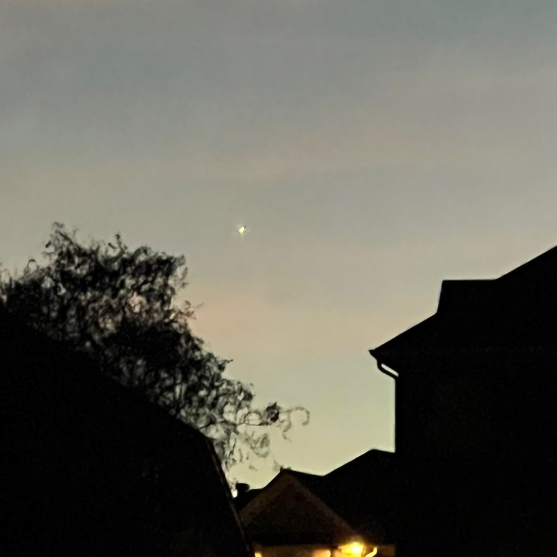 Pilar (& Sir Apricot) post 2