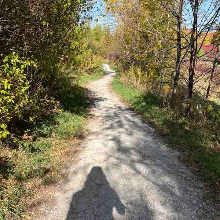 Pilar (& Sir Apricot) post 1