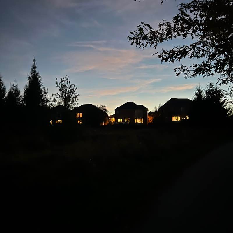 Pilar (& Sir Apricot) post 1