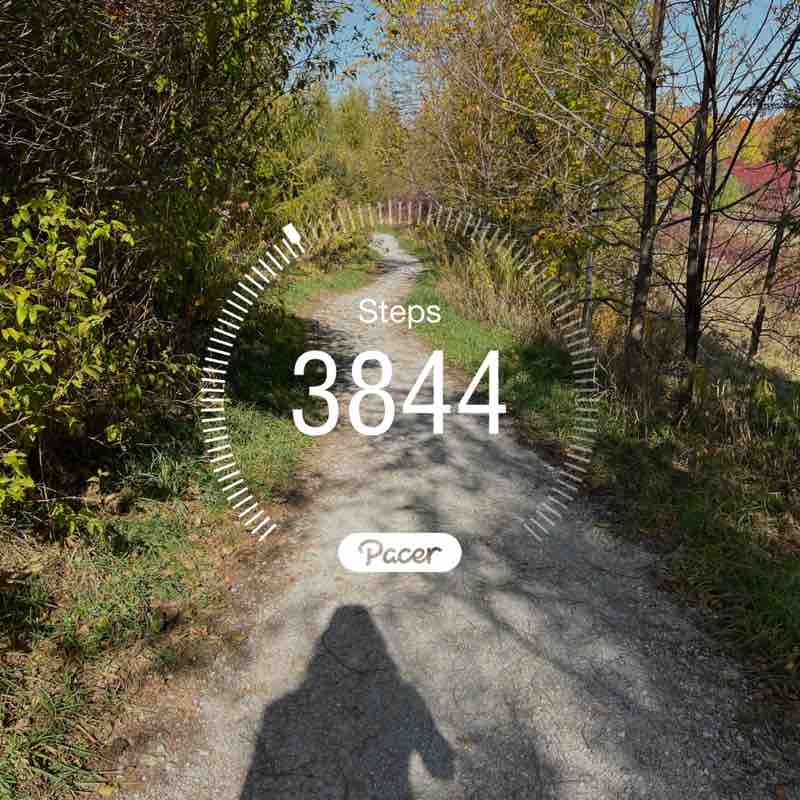 Pilar (& Sir Apricot) post 1