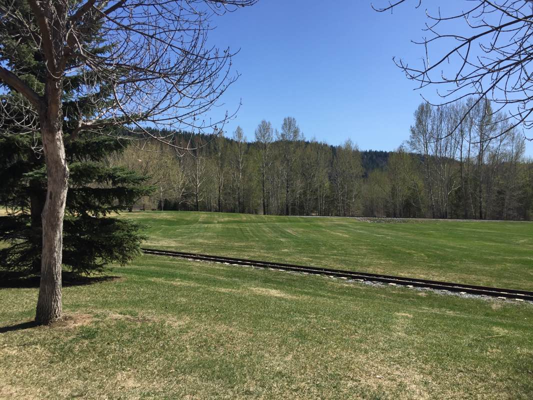 walking near me in Lheidli T'enneh Memorial Park in winter