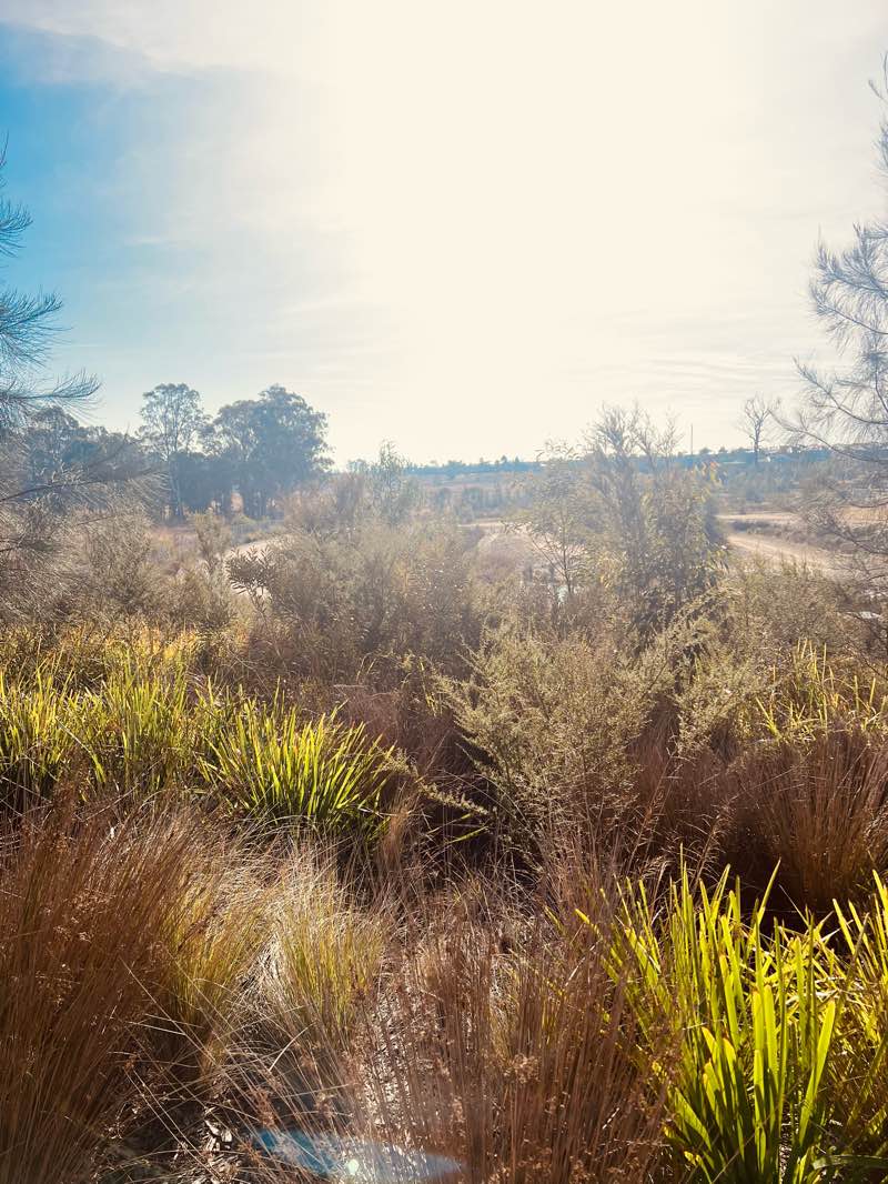 walking near me in Livvi's Place Elara in summer