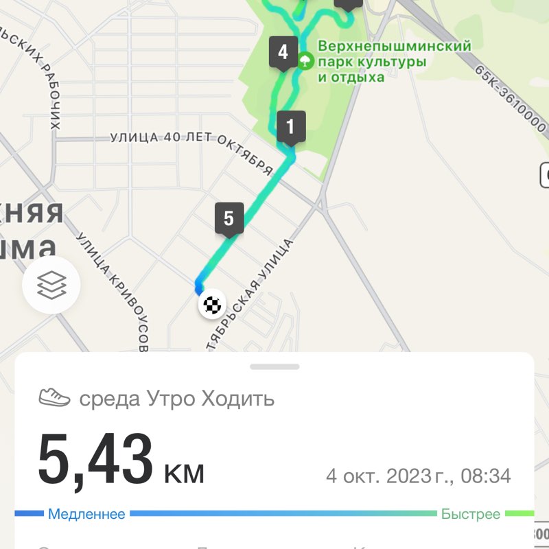 Скандинавская ходьба Michelangelo Sepia post image