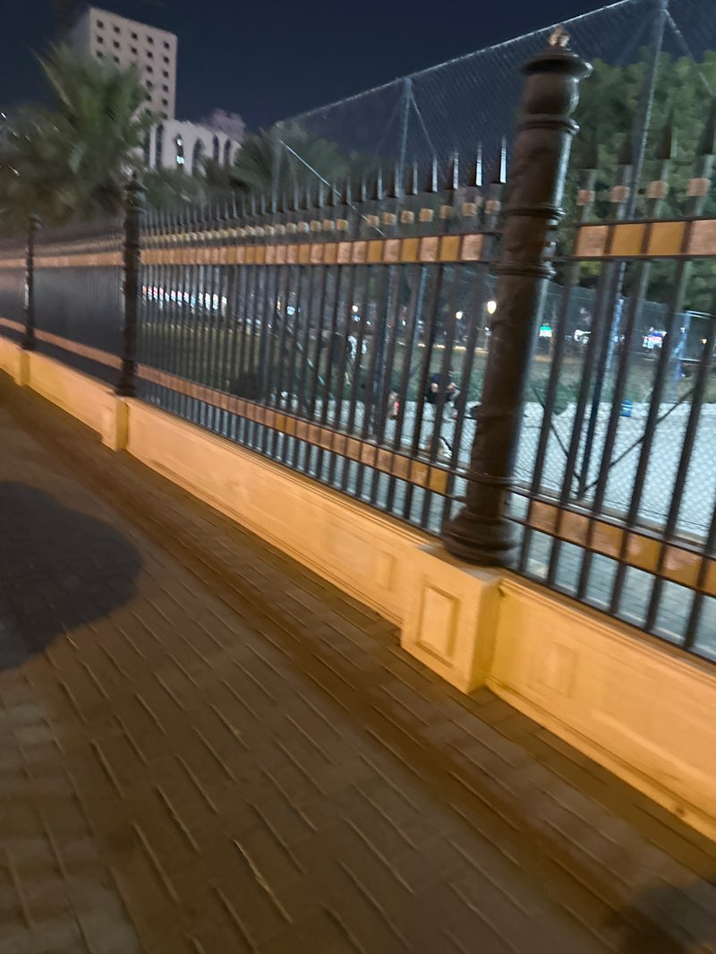 walking near me in Al Mahatta Park in winter