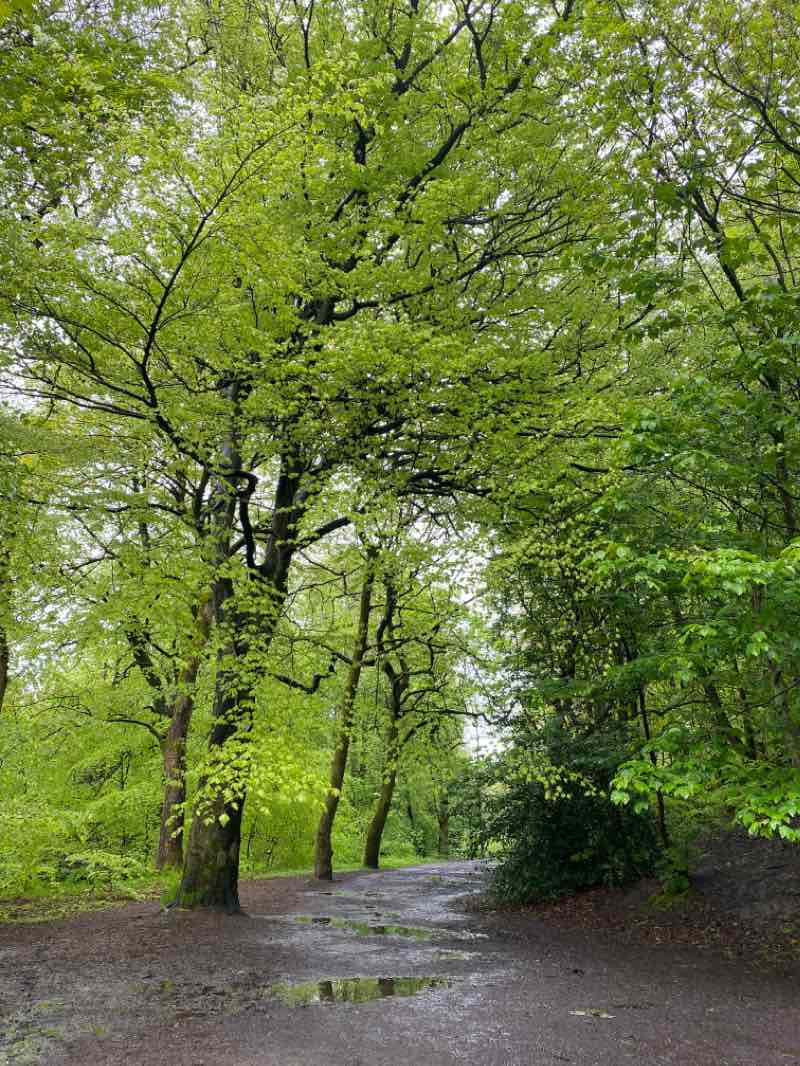 walking near me in Bowlee Community Park in winter