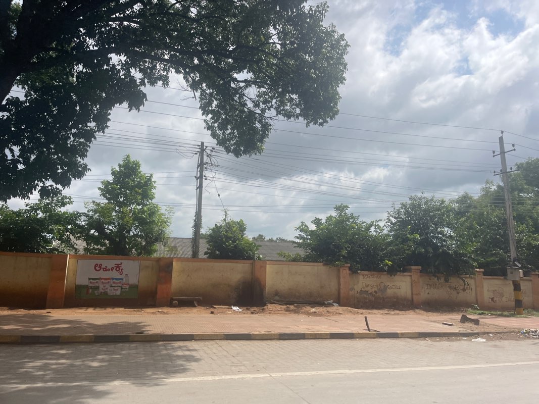 walking near me in Puthli Park in summer