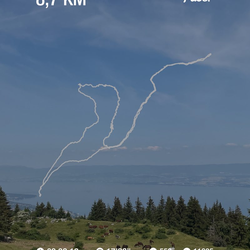 Sandra Hermant post 1