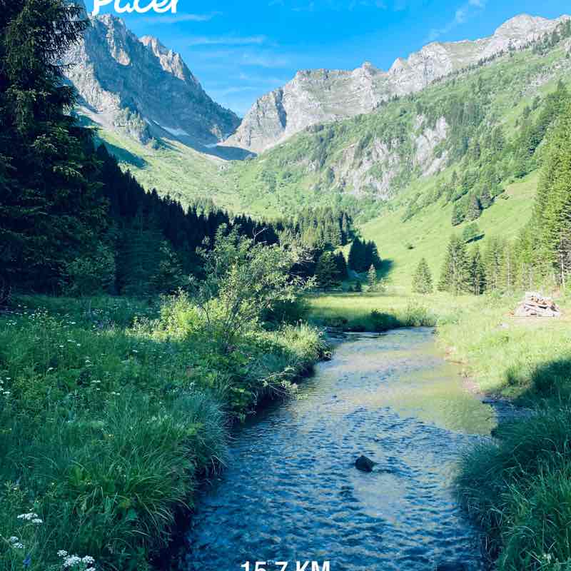 Sandra Hermant post 1