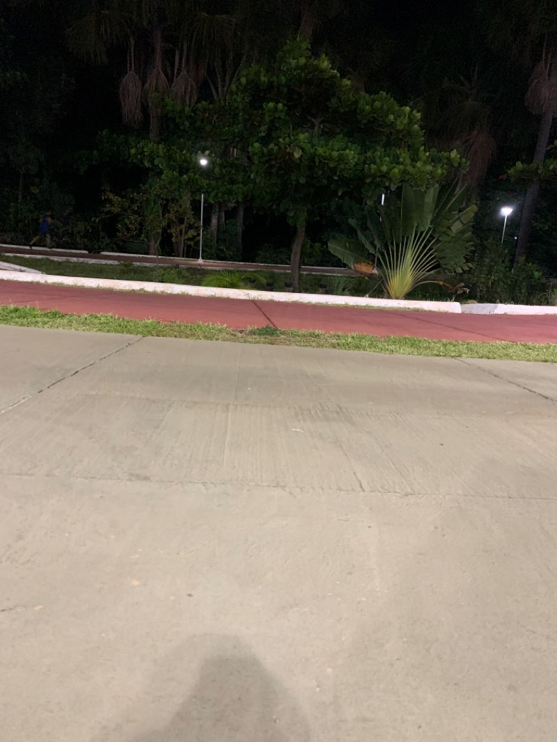 walking near me in Parque Centenário in summer