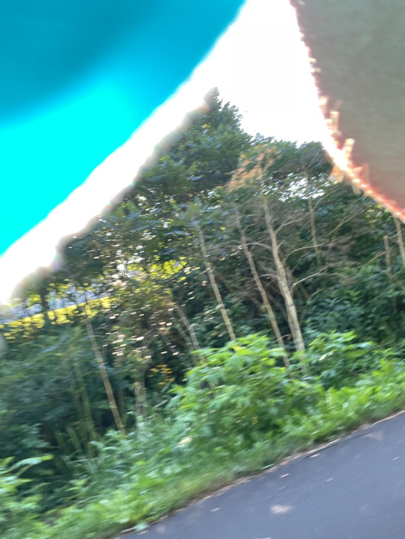 walking near me in Cedar Valley Nature Trail Park in winter