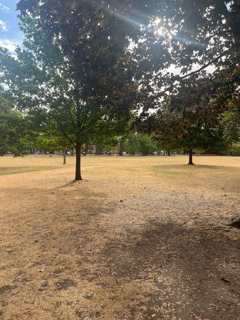 walking near me in Kings Heath park in summer