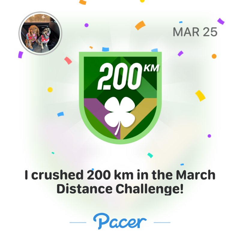 Maria 🇺🇸💞🇲🇽🐶 post 1