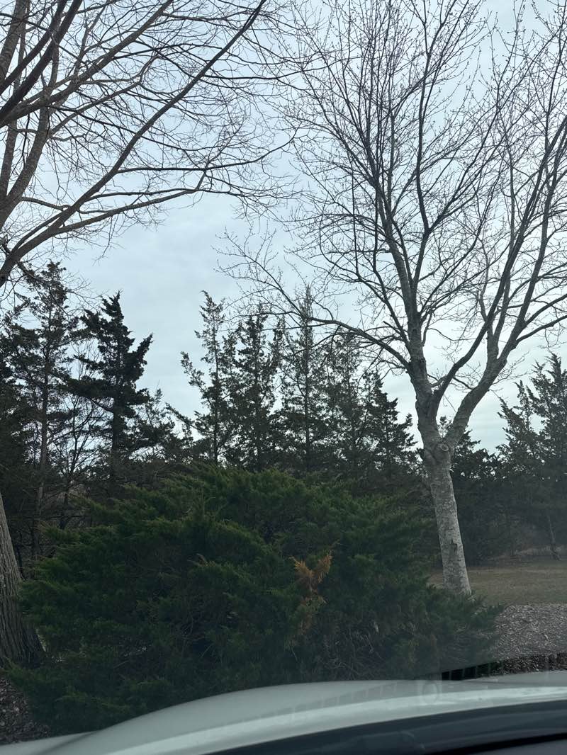 walking near me in Two Bears Park in spring