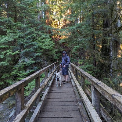 Where The Wild Things Are Alissa post image