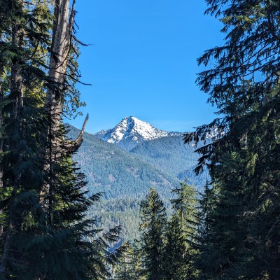 Where The Wild Things Are Alissa post image